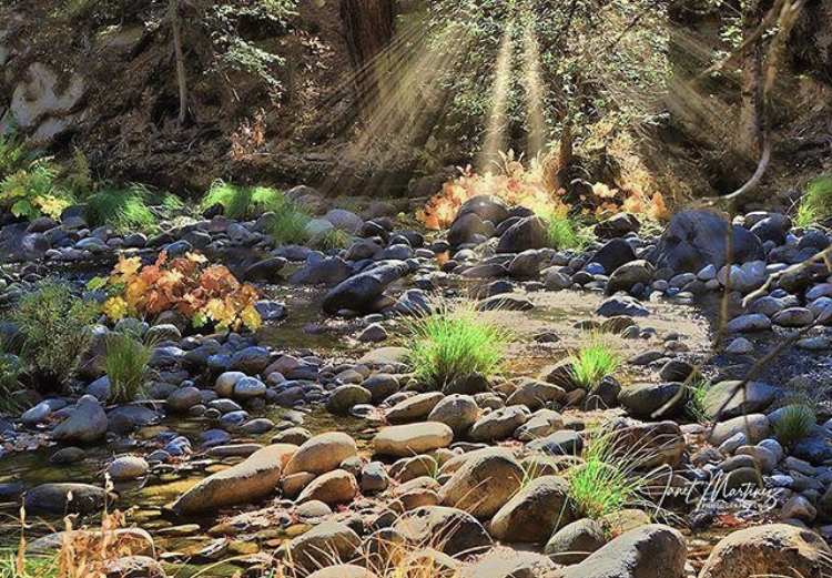 merced river - Janet Martinez Photography