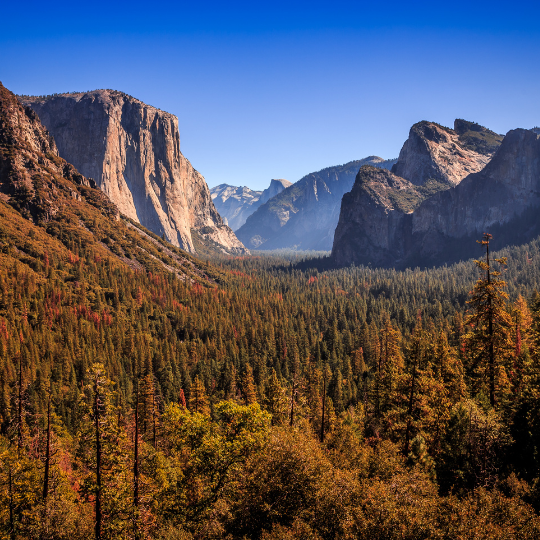 Empty hiking trail in Yosemite National Park during fall with colorful trees and granite cliffs”